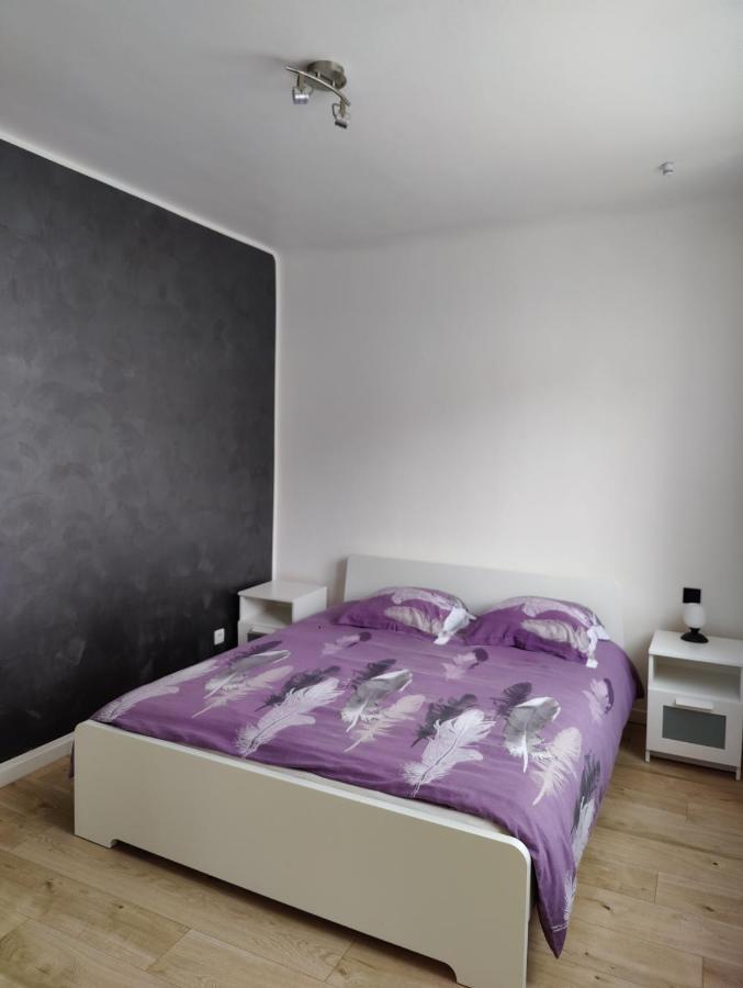 Le Purple, Appartement De Standing En Hypercentre Sarreguemines Exterior foto
